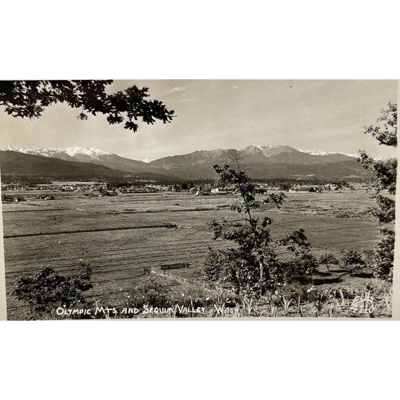 Olympic Mountains RPPC Postcard Vintage Sequim Valley WA North Peninsula - Picture 6 of 6